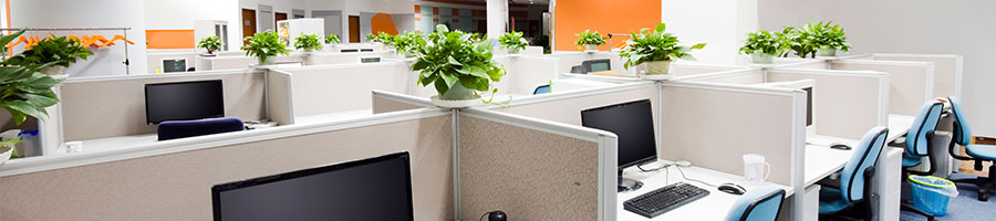 overhead view of office cubicles
